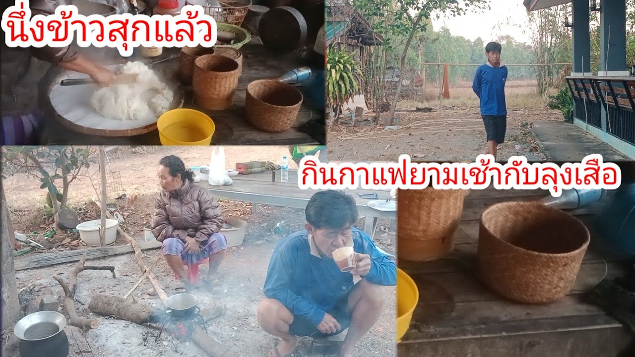 นึ่งข้าวสุกแล้วจะทำอะไรกินดี!!กินกาแฟยามเช้ากับลุงเสือ