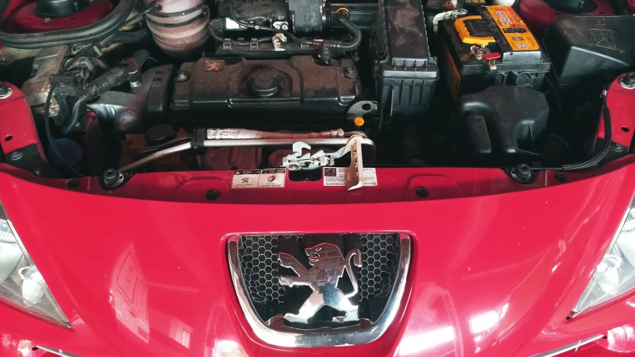 Peugeot não pega - pane elétrica BSM