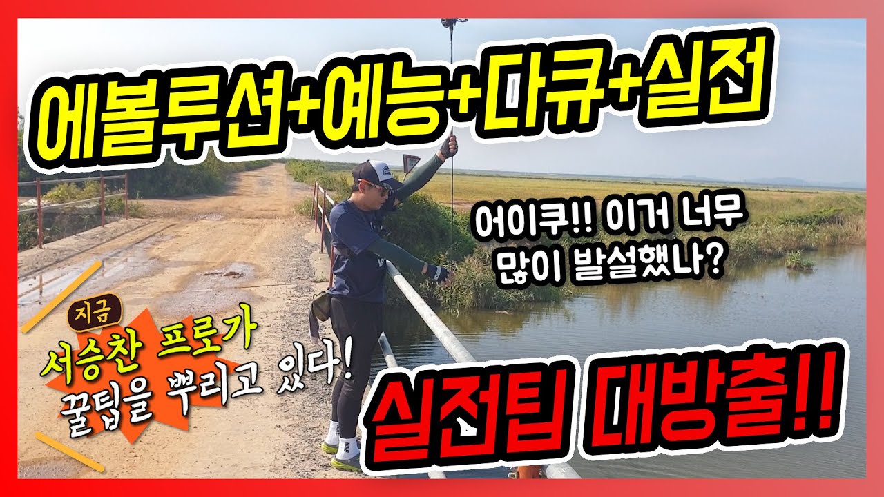 Story 7. 서승찬의 가을 천수만 !   :   수로권 배스낚시 (Feat.쏟아지는 실전팁) [Bass fishing]