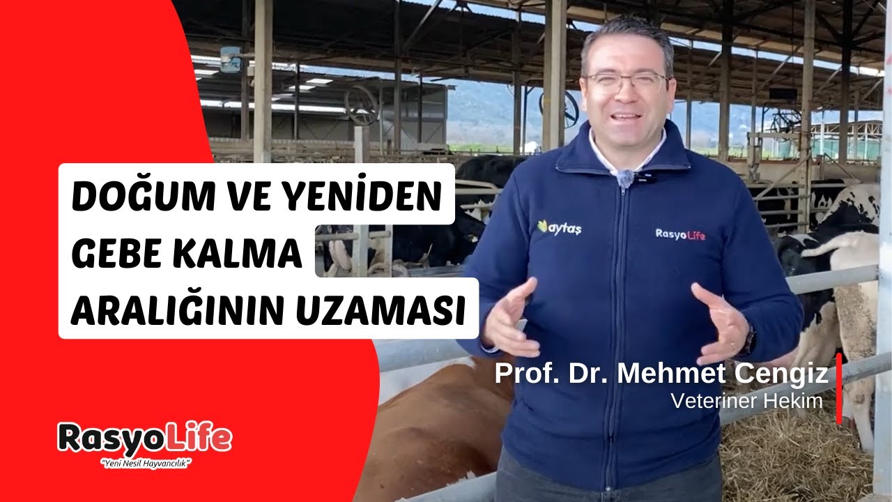 Doğum ve Yeniden Gebe Kalma Aralığının Uzaması (Prof. Dr. Mehmet Cengiz)