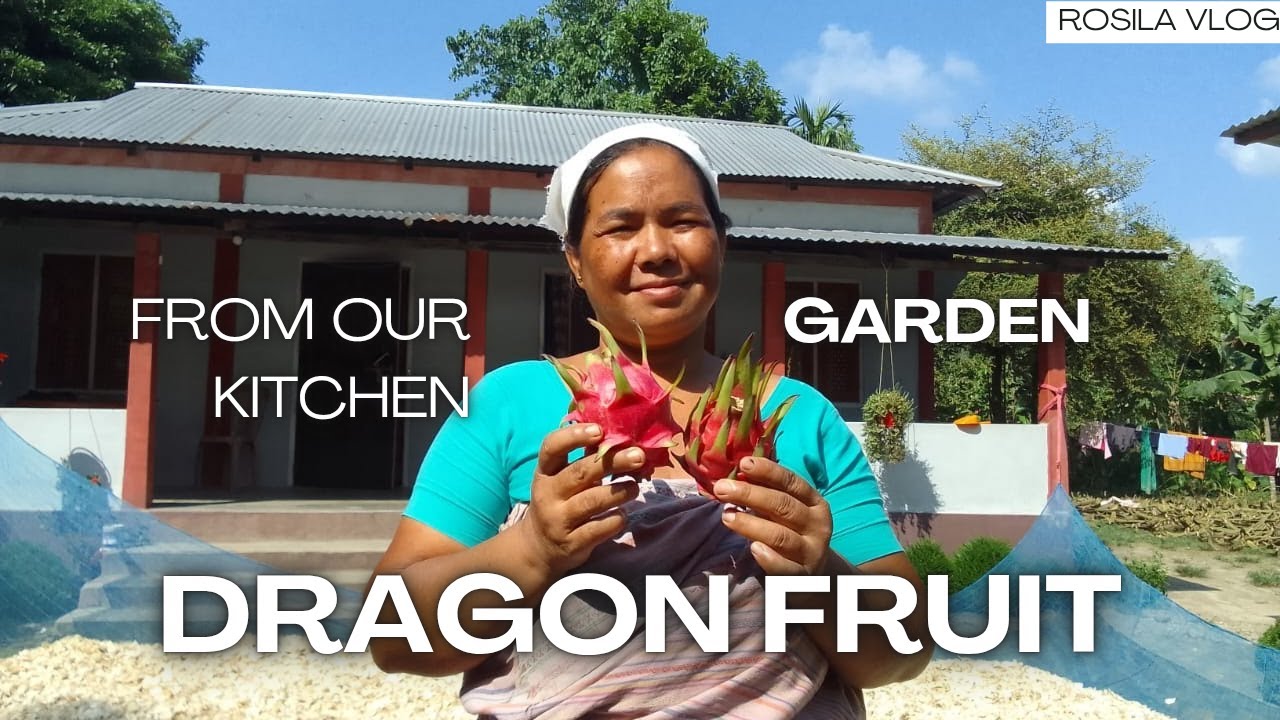Harvesting & Eating Organic Fruit: Sustainable Living in Rural Assam