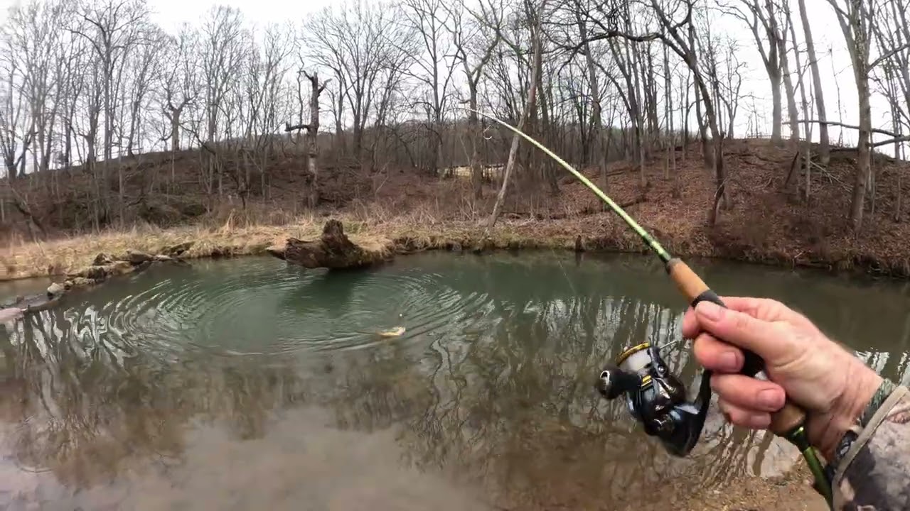 Cedar Springs Small Stream Tour
