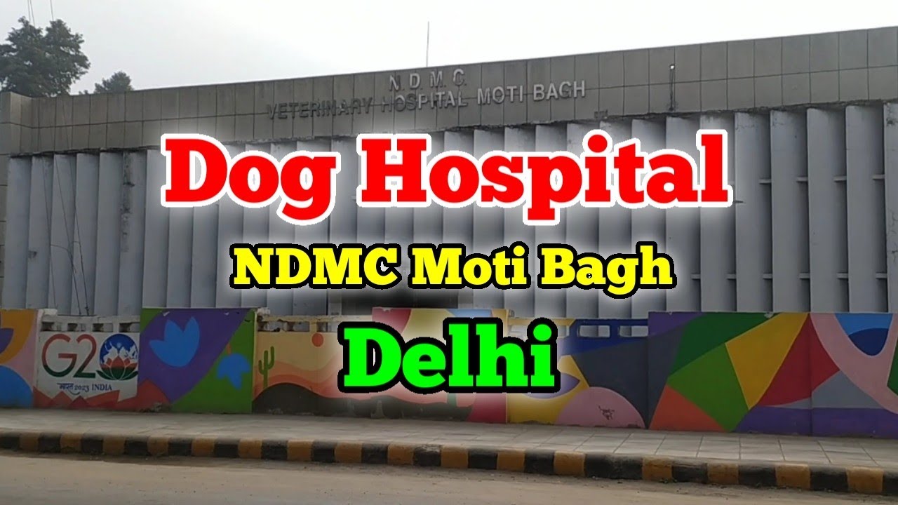 Moti bagh dog hospital 🦮 | ndmc veterinary hospital #vlog #minivlog #video