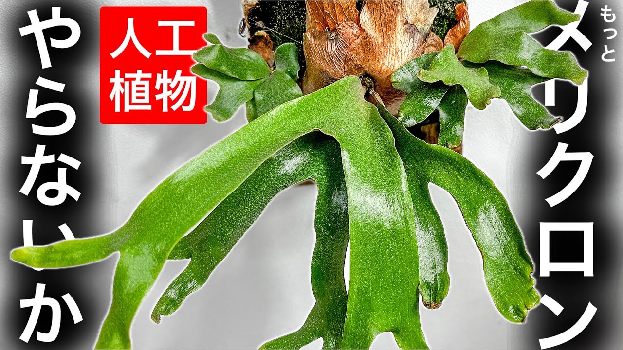 【TC賛否】あの