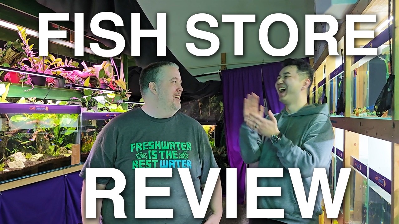 April's Aquarium | FISH 👏 STORE 👏 REVIEW