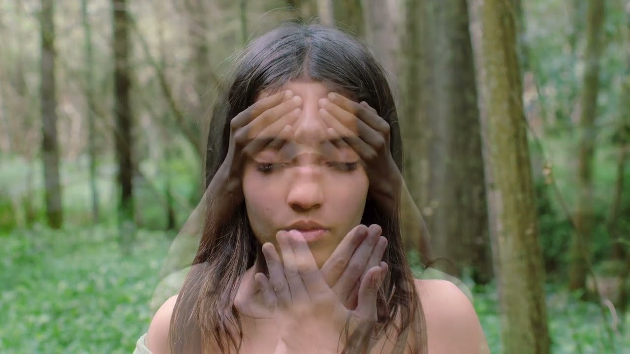 A Tua M&atilde;e - Arvoredo