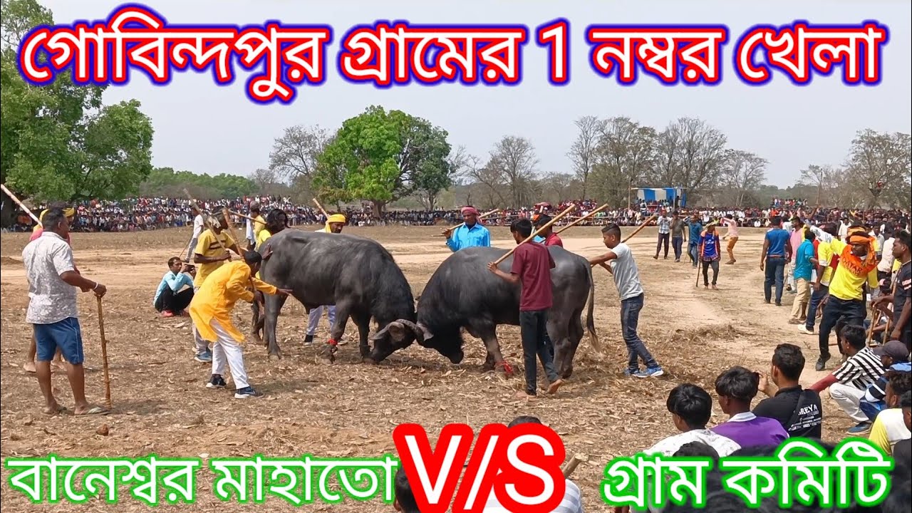 গোবিন্দপুর গ্রামের 1 নম্বর খেলা। বানেশ্বর মাহাতো বনাম কমিটি