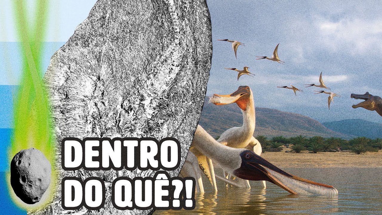 CIENTISTAS BRASILEIROS ENCONTRAM NOVO PTEROSSAURO EM LUGAR INUSITADO | PLANTÃO