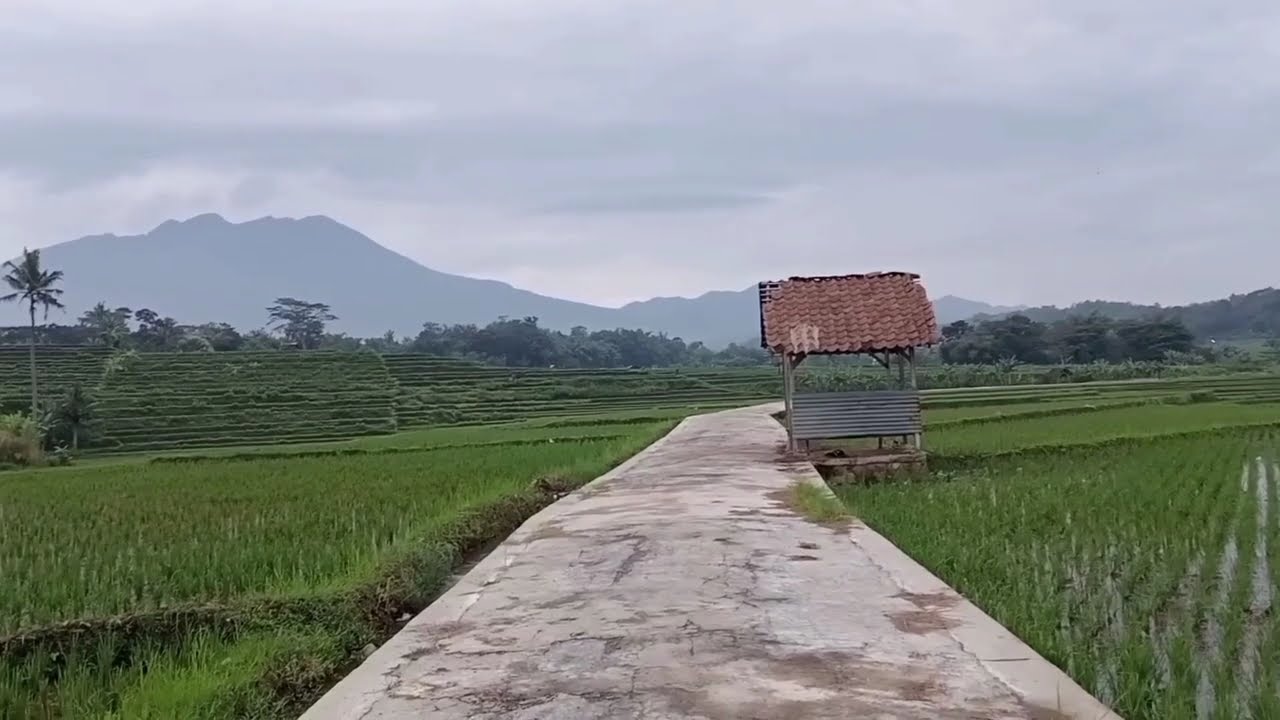 kompilasi lagu pop Indonesia bikin kembali ke masa lalu
