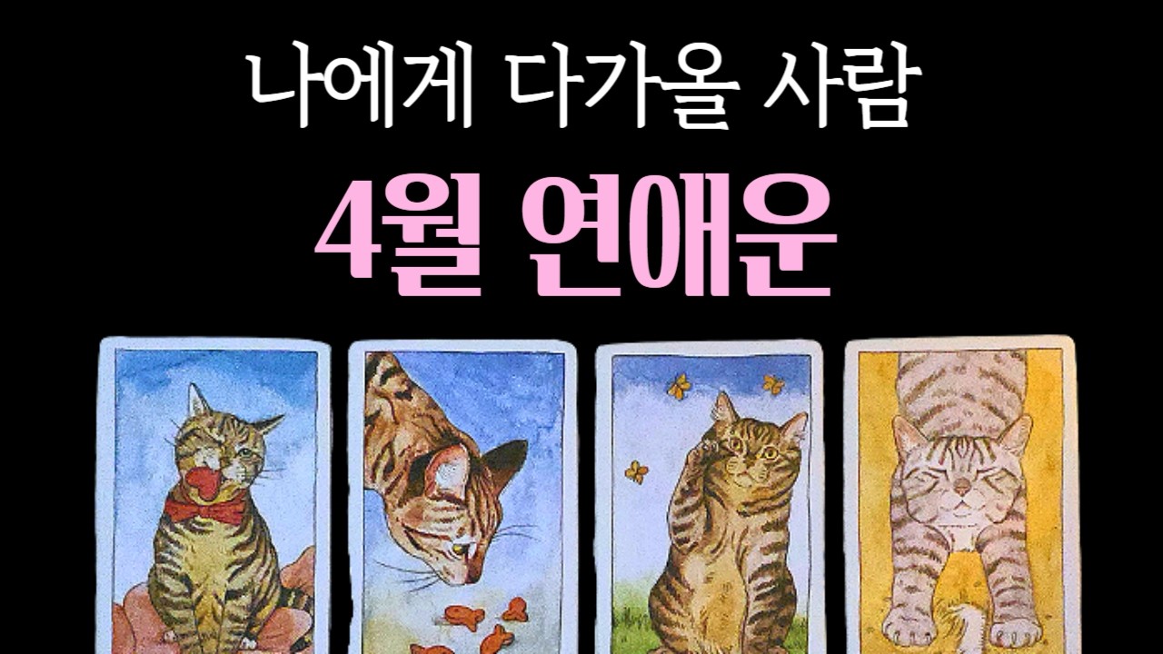 [타로] 4월 연애운, 나에게 다가올 사람
