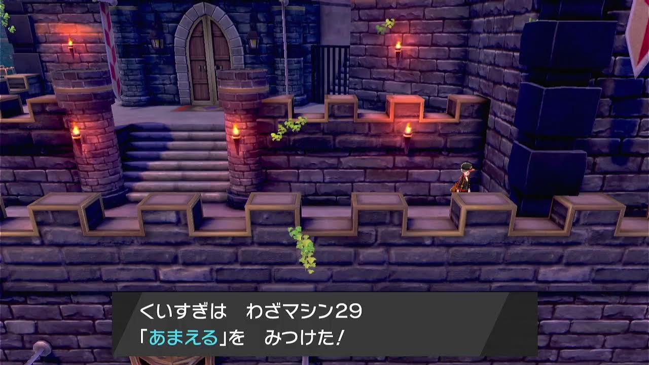 ヒバニー大好き 【ポケモン　シールド】