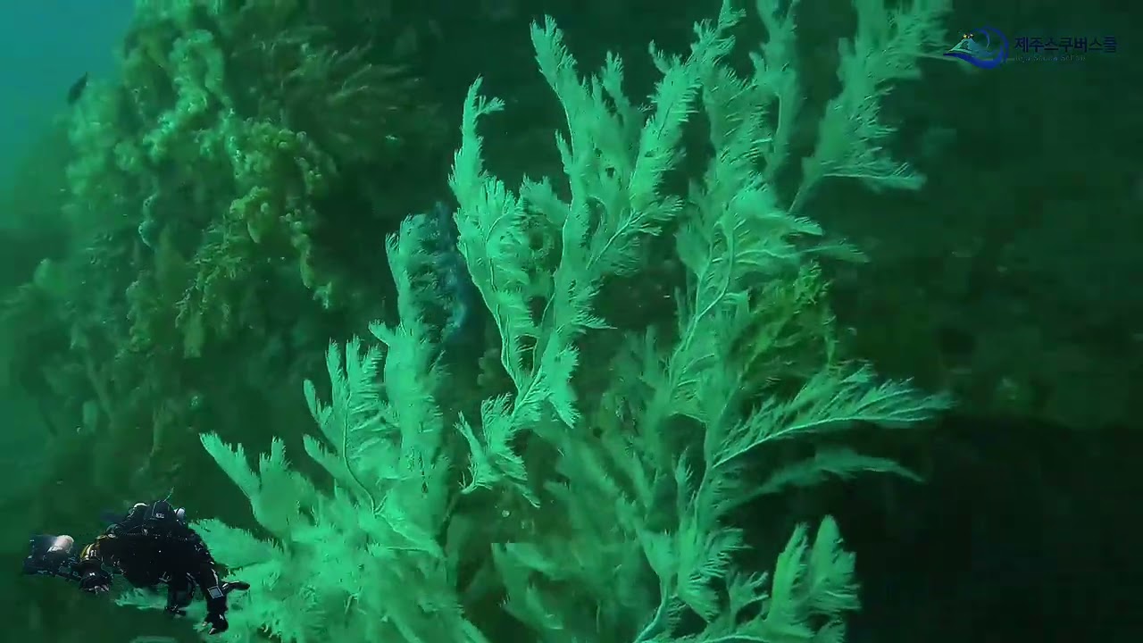 Technical diving 테크니컬다이빙