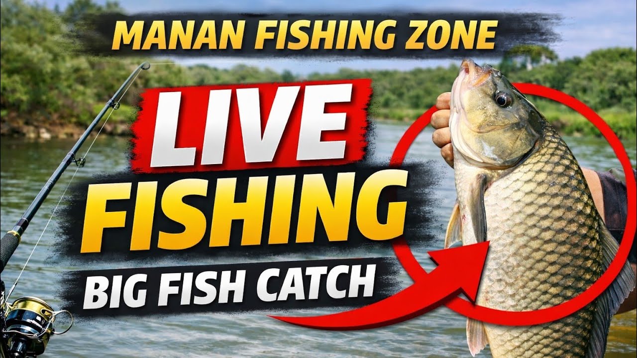 !Today's target: 200 fish!!🐬Sea fishing 🎣🎣