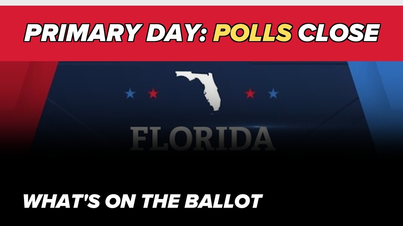 Florida primary election day: what's on the ballot as polls close