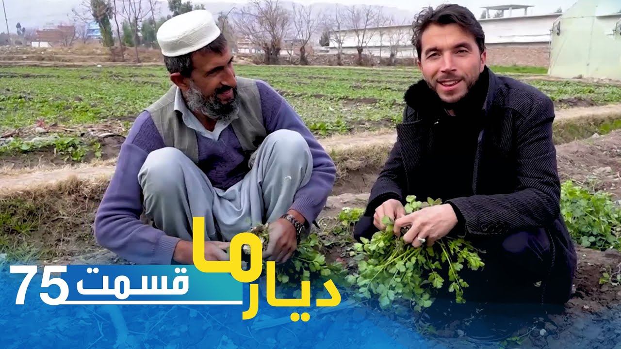 Deyare Ma, in tape Sabz Abad, Nangarhar province / دیار ما در تپه سبز آباد، ولایت ننگرهار