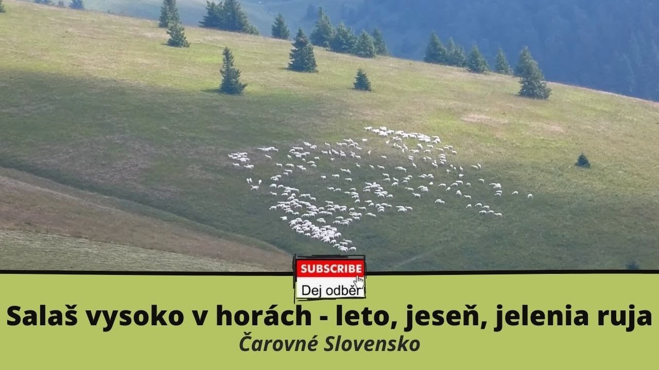 Salaš vysoko v horách - leto, jeseň, jelenia ruja 🐑🗻🐑 🍀🇸🇰 Čarovné Slovensko 🇸🇰🍀