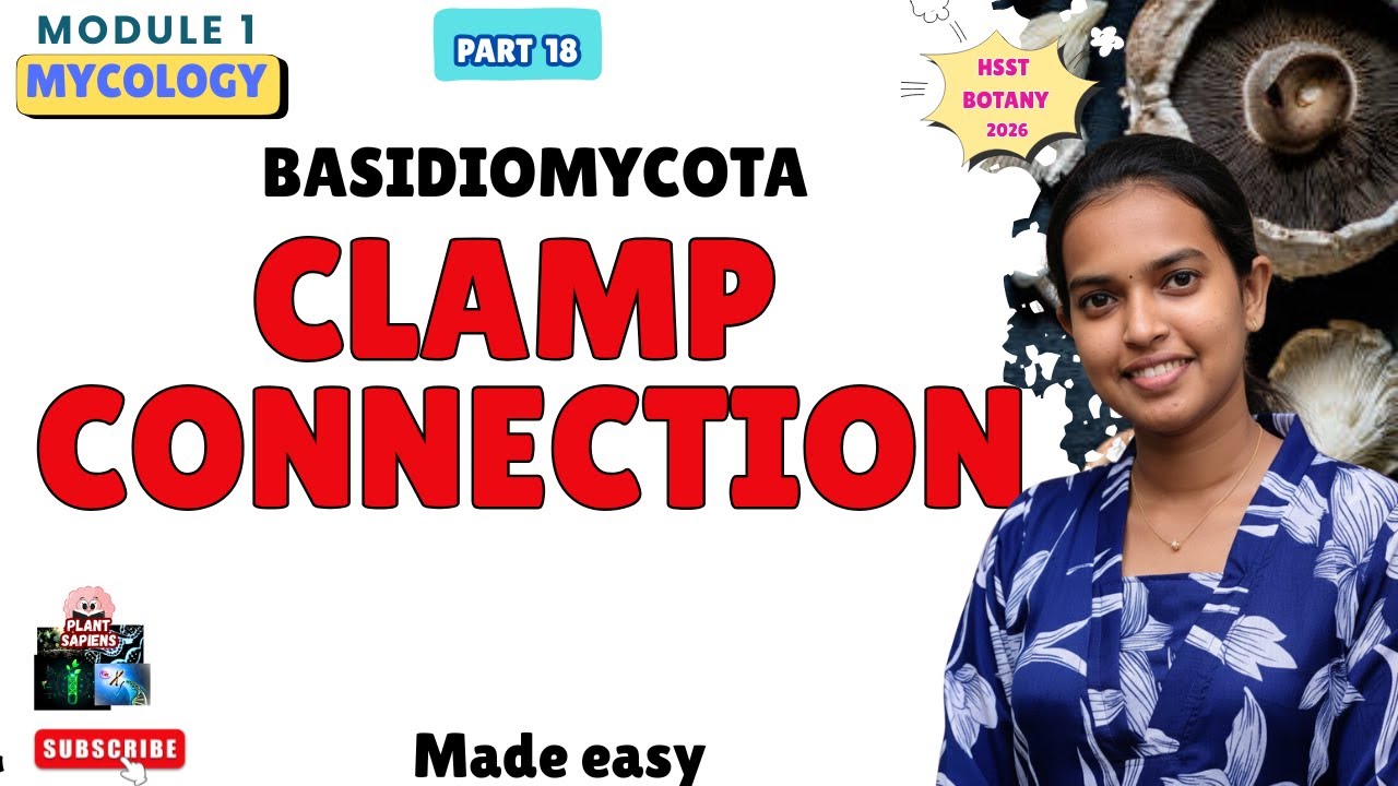 Clamp Connections in Fungi: A Detailed Guide| HSST & SET  Botany |