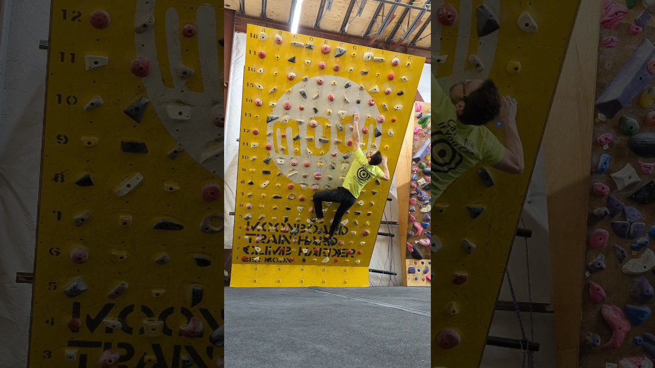 Enter the Gecko (V5) Moon Board 2017 Benchmark