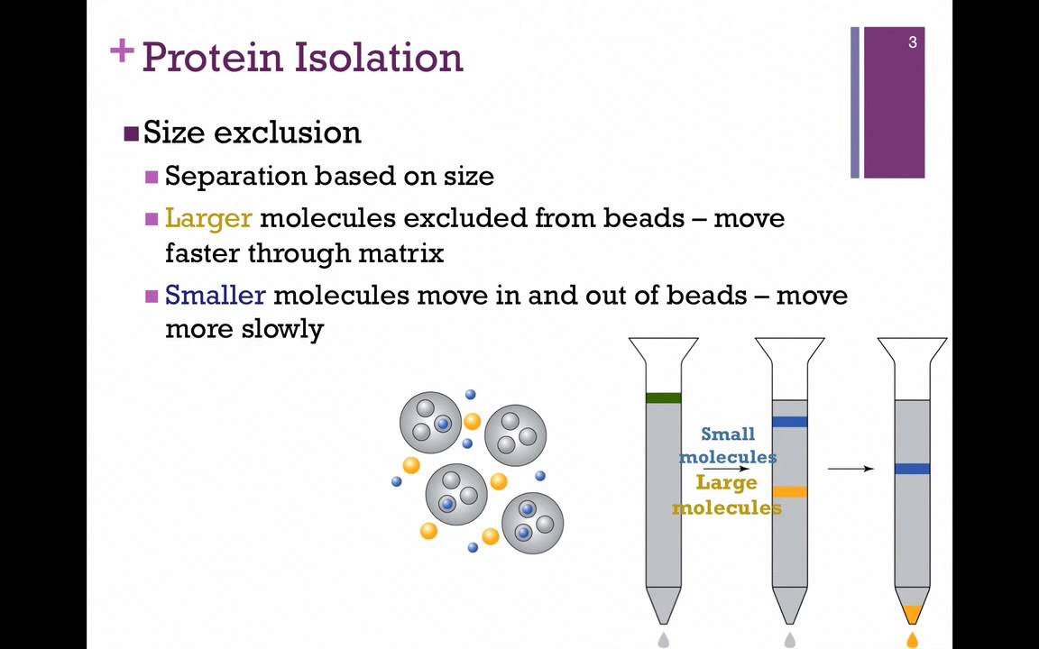 021-Protein Isolation & Structure Determination