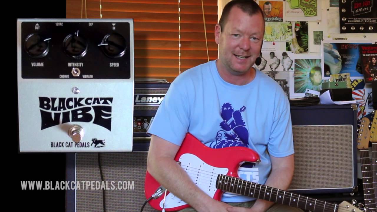 Black Cat Pedals: VIBE