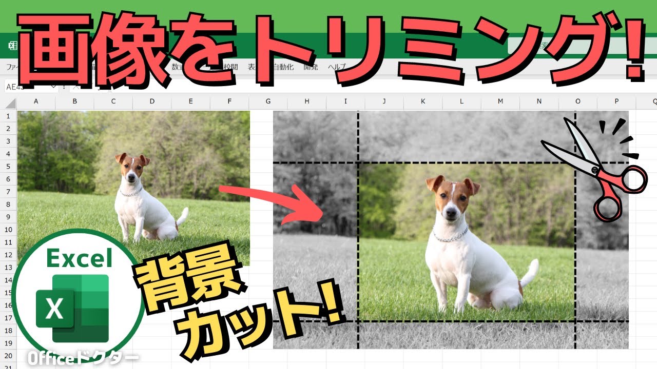 エクセルで画像をトリミング＆丸く切り抜きする方法を解説【Excel】