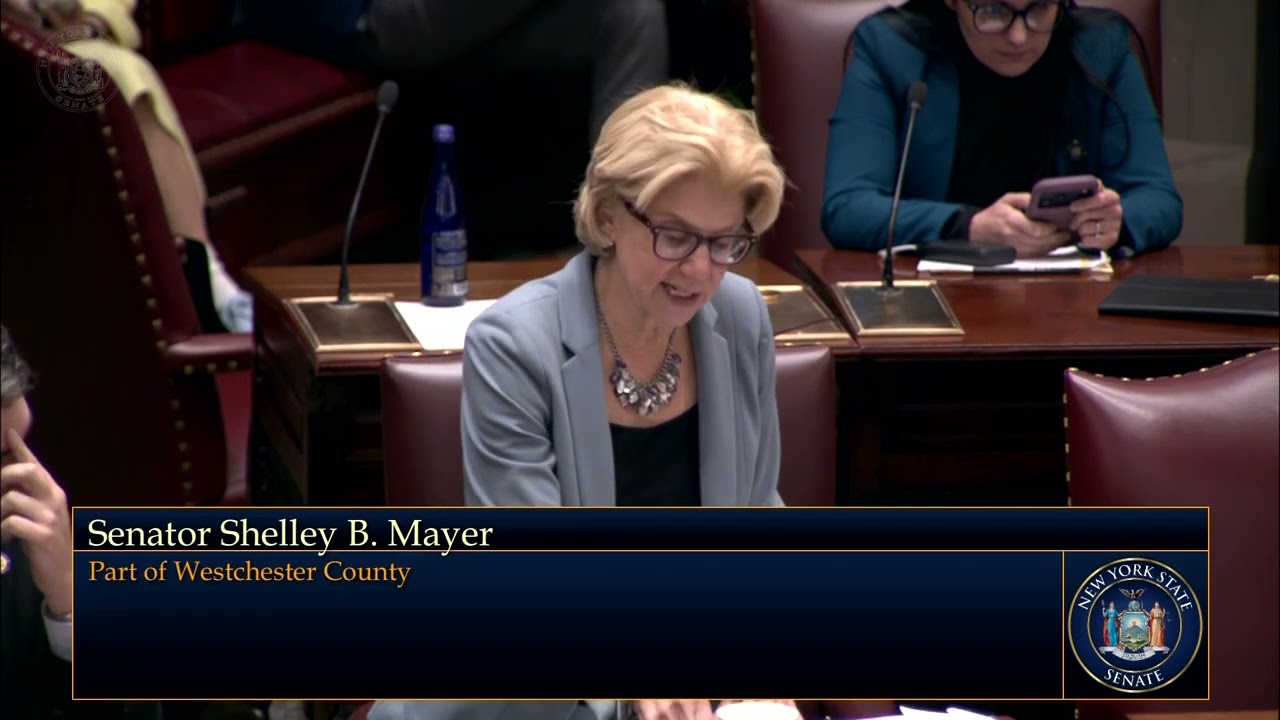 Senator Shelley Mayer Explains 