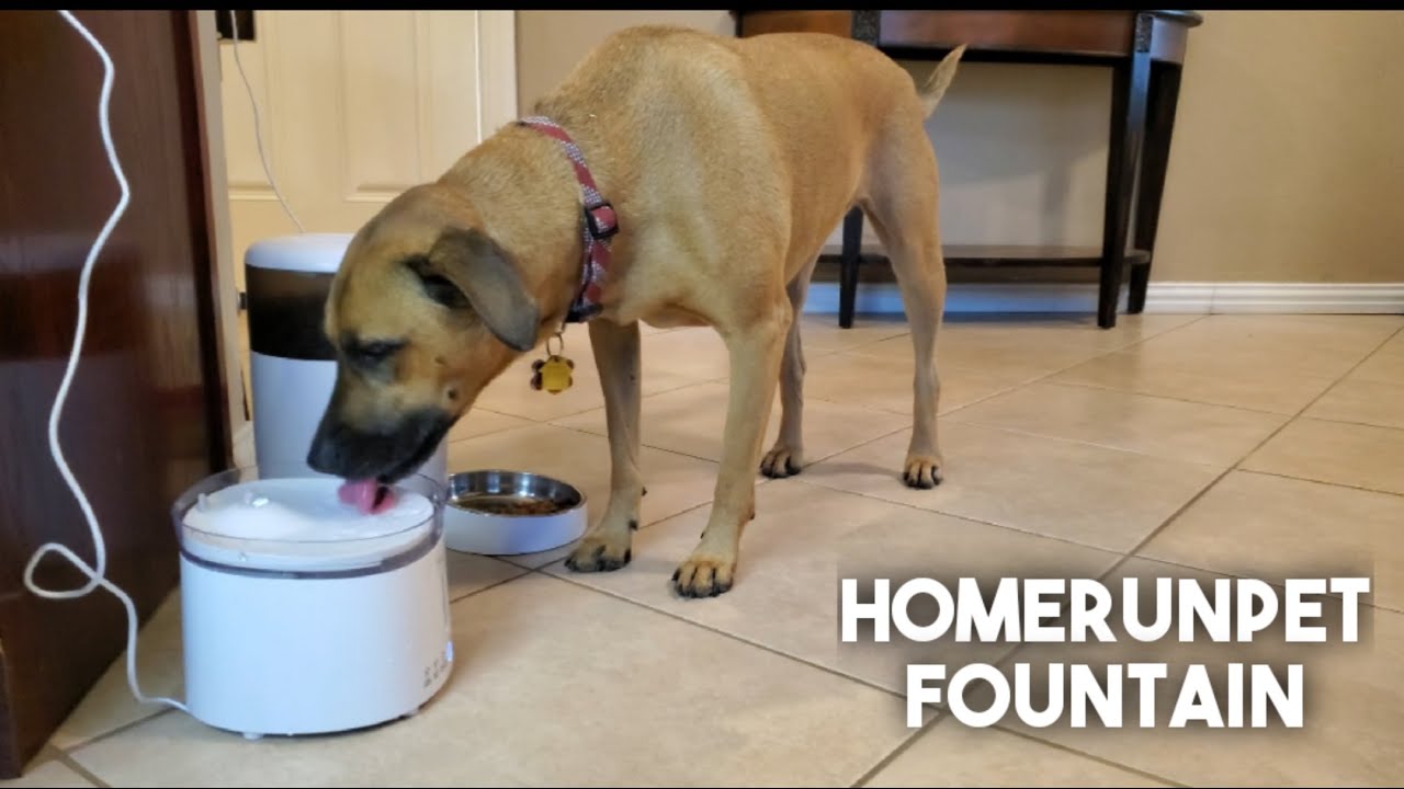 HOMERUNPET FOUNTAIN WITH WIRELESS PUMP UNBOXING AND HONEST REVIEW