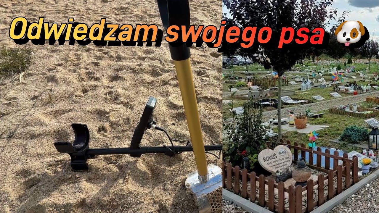 Odwiedziłem swojego psa, który odszedł… | Cmentarz dla Zwierząt