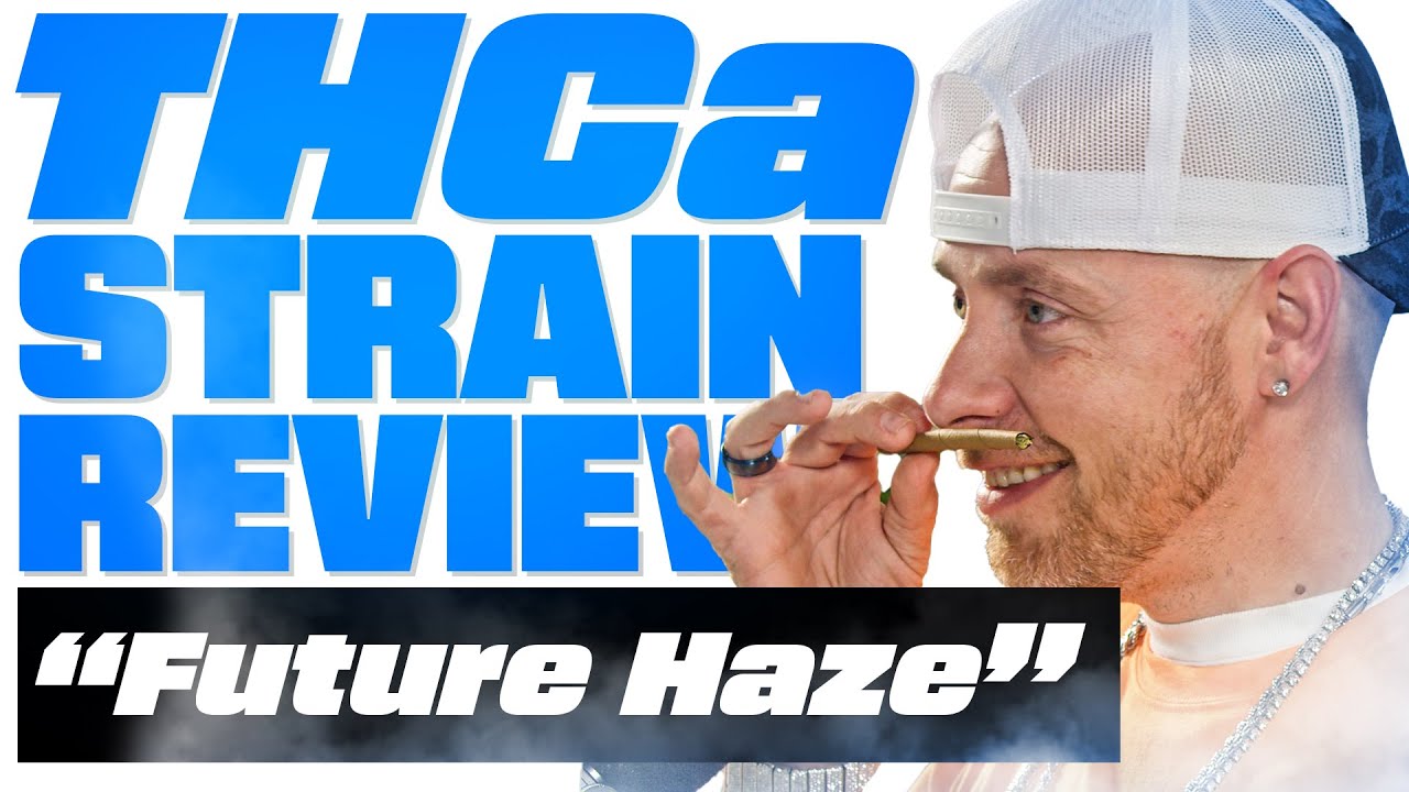 Future Haze, The Perfect Daytime Cannabis - THCa Strain Review