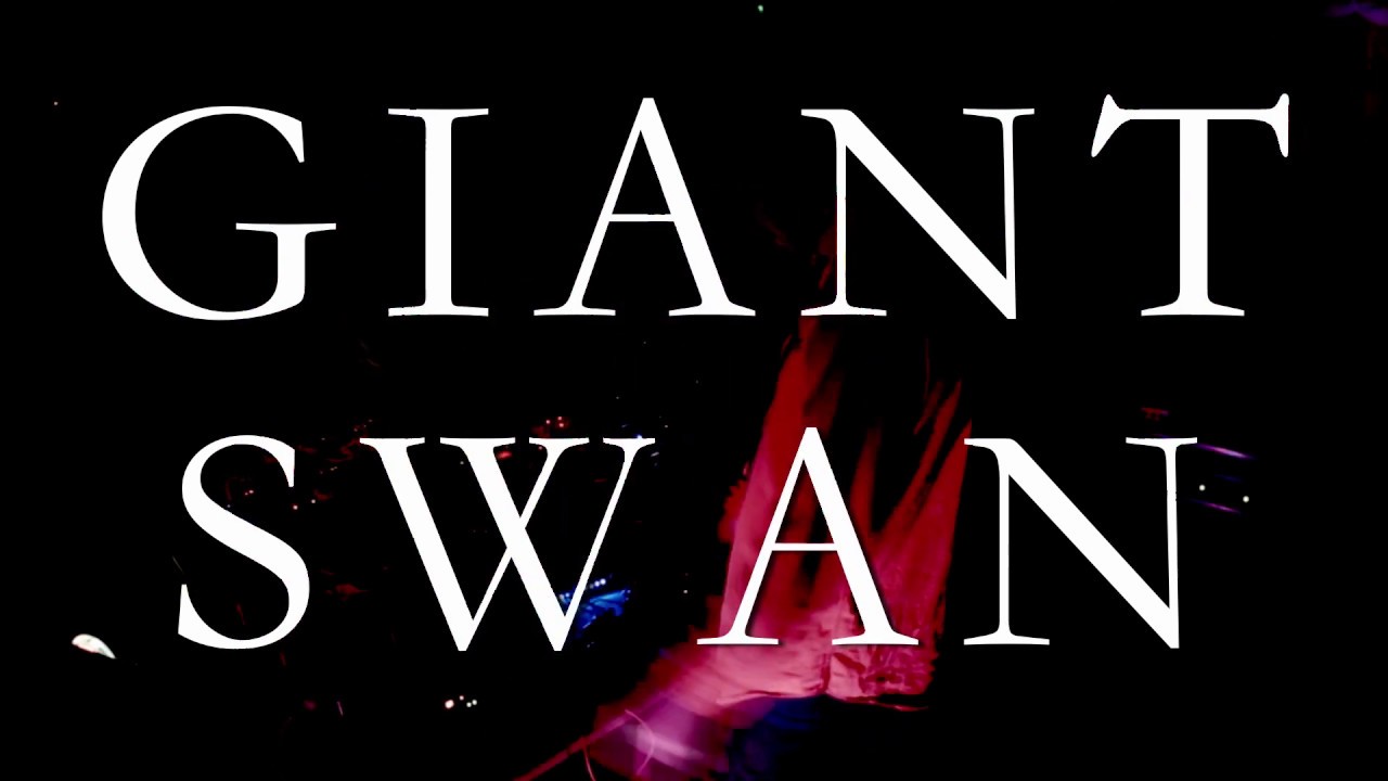 IMPATV 228 - GIANT SWAN - WOODLAND GATHERING 2019 FULL SET