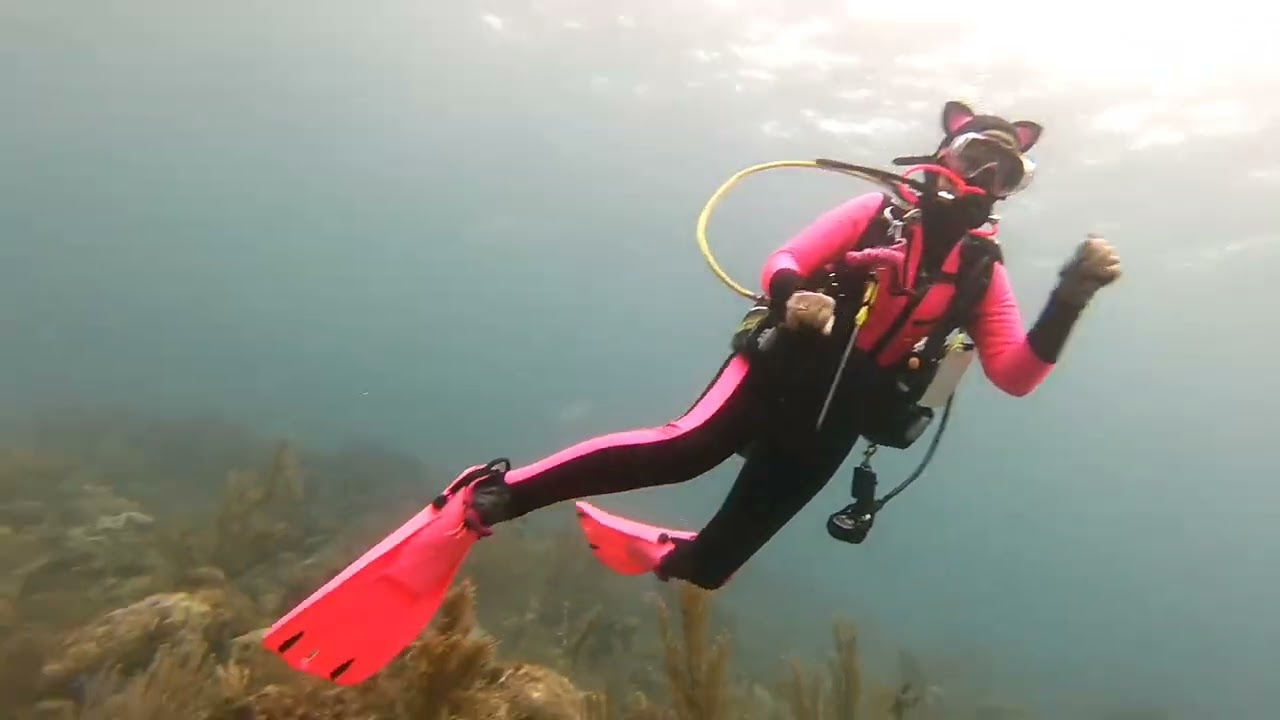 #2026 #roatan @salemscuba1170 