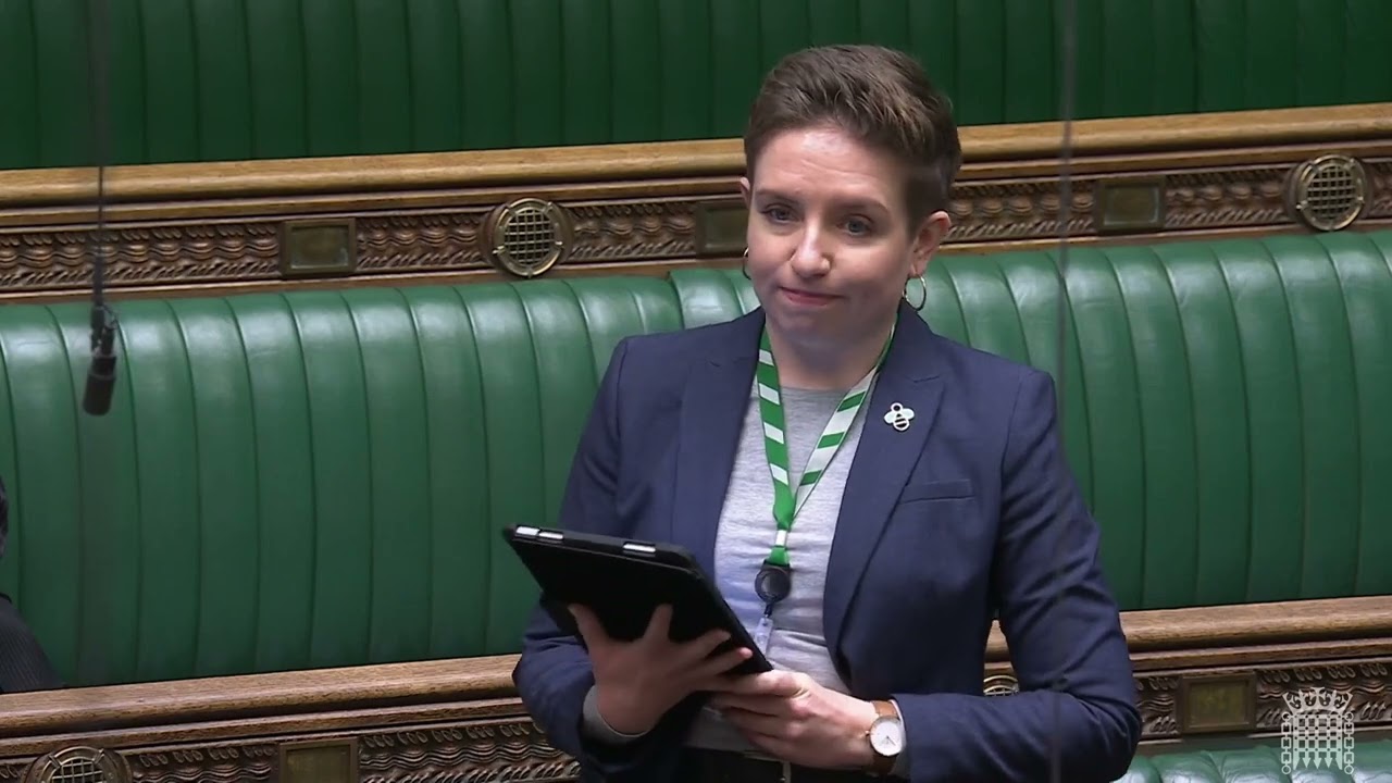 Carla Denyer MP questions Lord Walney's independence | UK Parliament | 10 Oct 2024 | Just Stop Oil