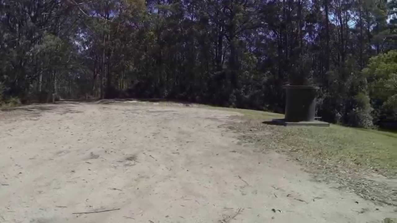 Watagan HQ Campground, Olney - dogexplorer.com.au