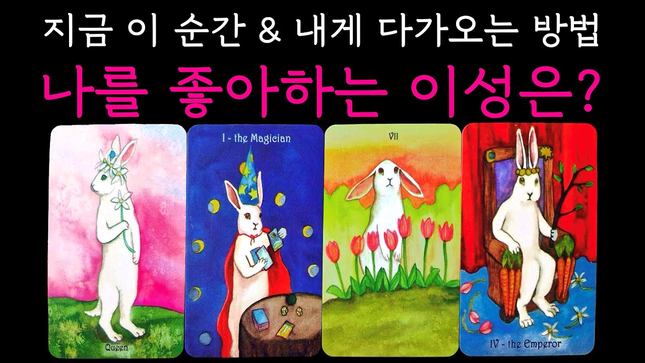 [연애운타로] 소름돋는 디테일 리딩🌟1:1밀착 정확도 #타로 #연애타로 #이성운 #연애운