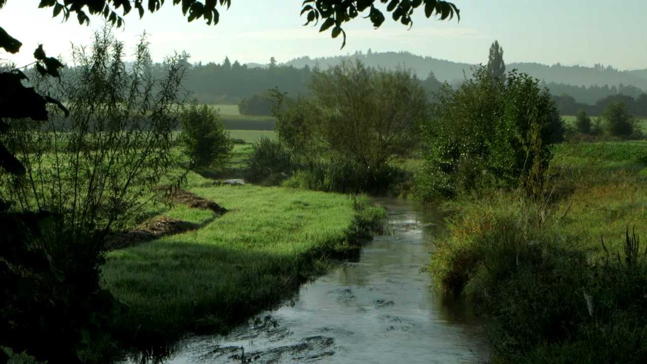 Renaturierung von Schweizer Flüssen und Bächen (Langfassung)