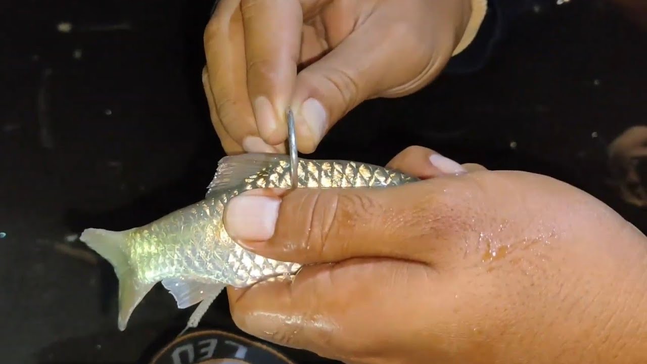 UMPAN JOSS MANCING PASIRAN || HUJAN TAK JADI MASALAH DALAM MELAWAN IKAN