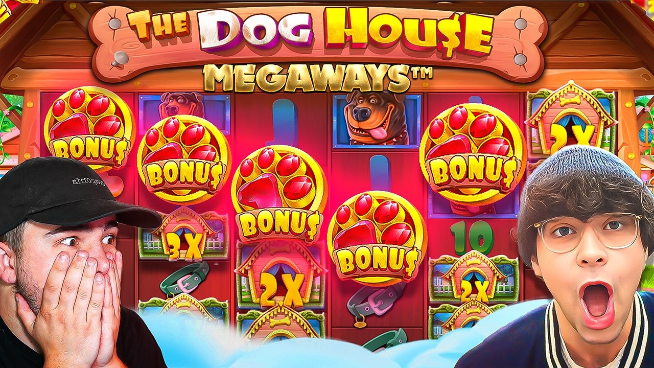 We Got 5 SCATTERS on DOG HOUSE MEGAWAYS...