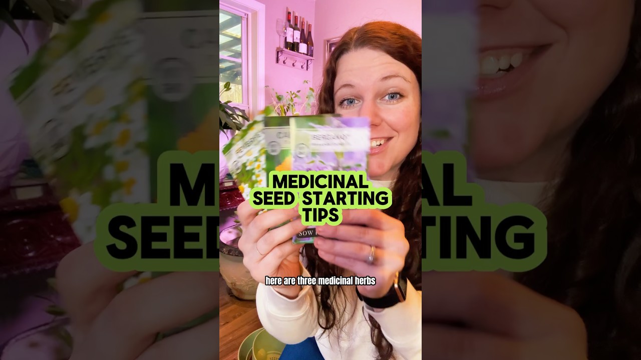 🪴Medicinal Seeds to start inside #medicinalherbs #medicinalplants #seedstarting #edibleflowers