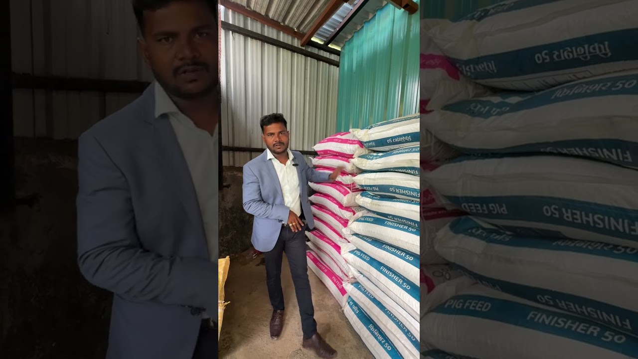 Importance of Feed And Types of Feed
