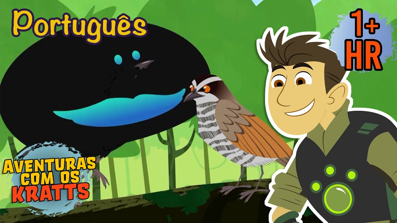Pássaros Incríveis | Episódios completos | Aventuras com os Kratts