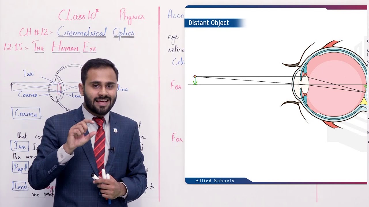 Class 10 - Physics - Chapter 12 - Lecture 16 The Human Eye - Allied Schools