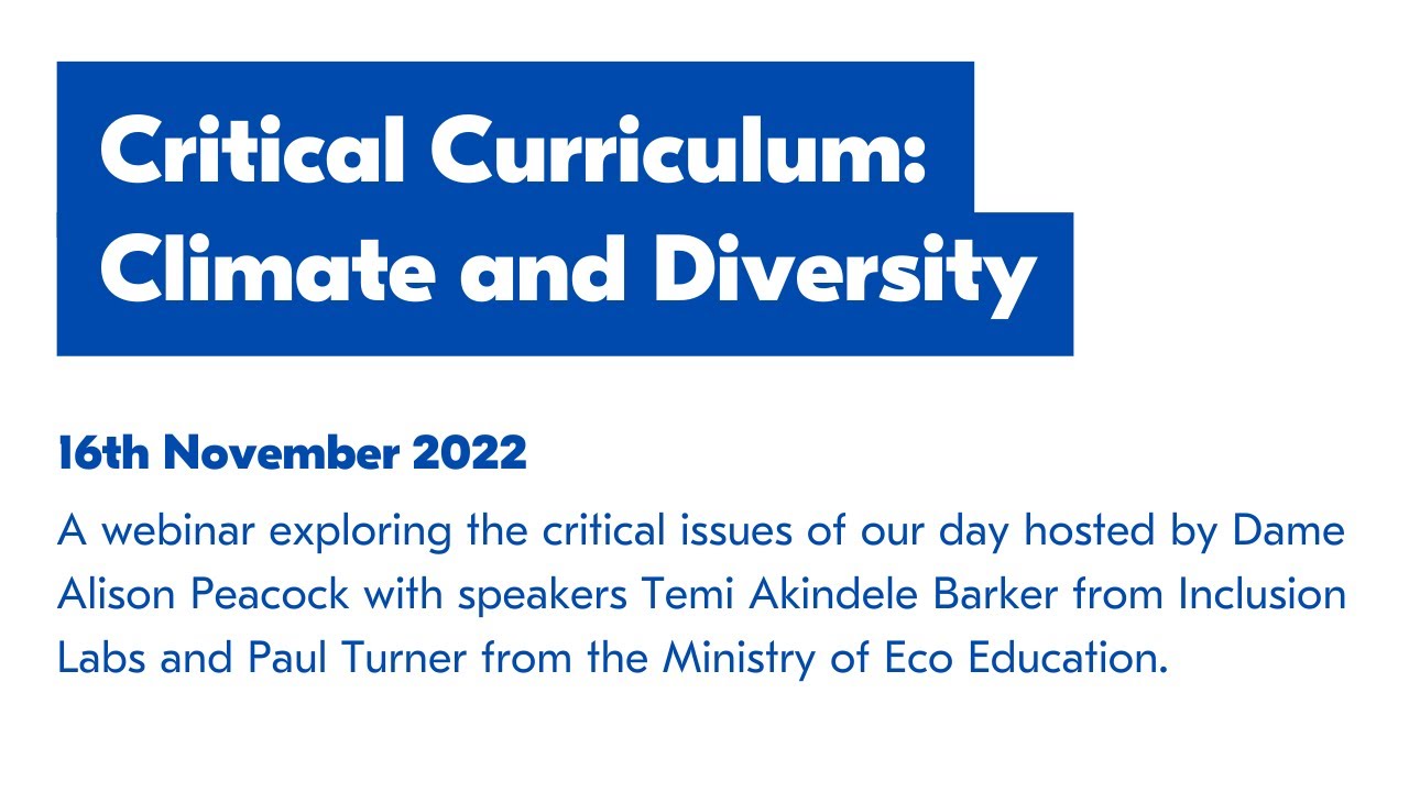 Critical Curriculum: Climate and Diversity Webinar
