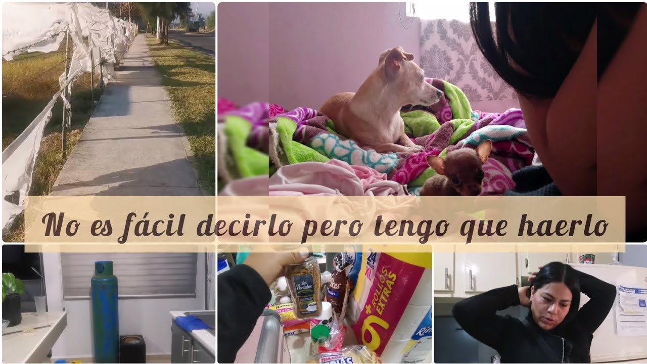 Platiquemos sobre esto😔🙅🏻‍♀️ +conocí a una creadora de contenido de mi 🌆
