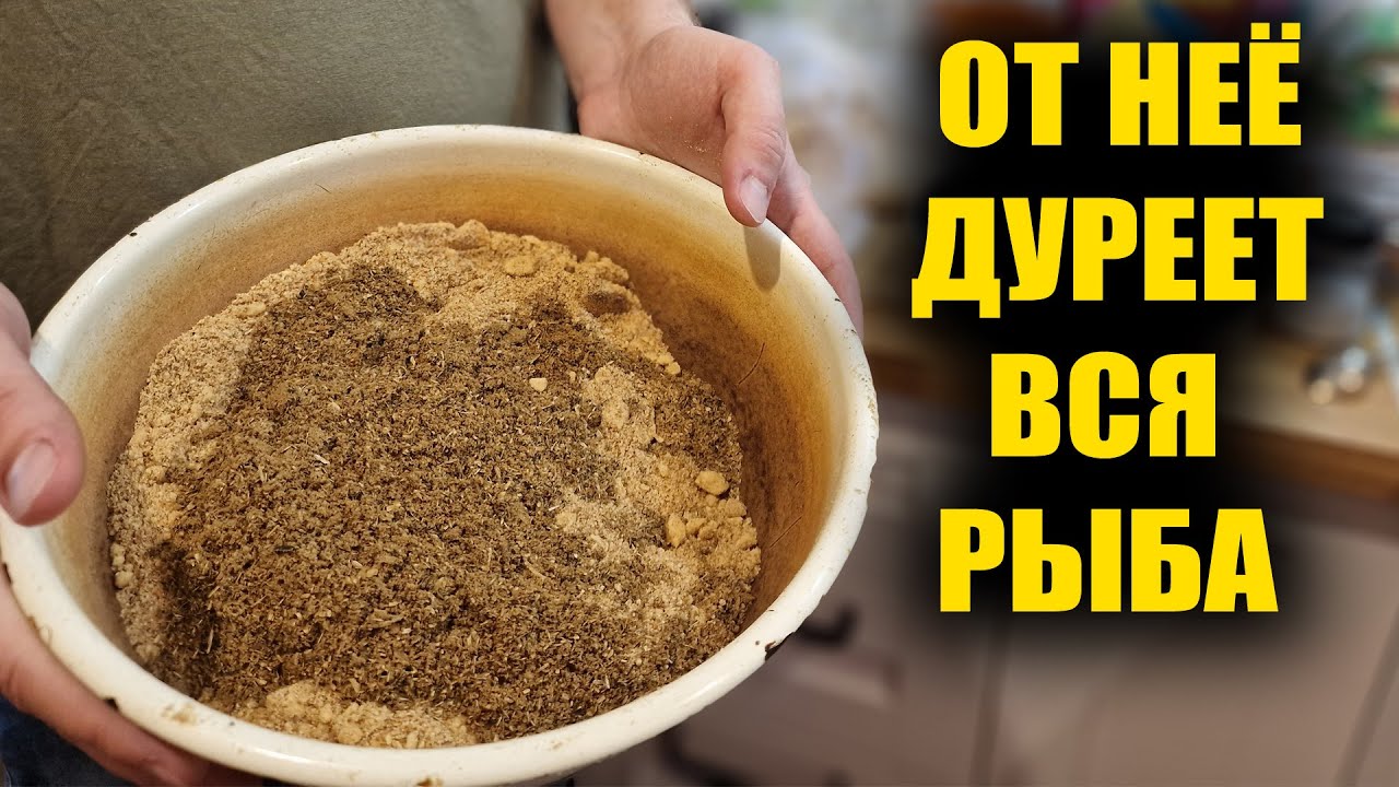 РЫБА КЛЮЁТ НА КАЖДОМ ЗАБРОСЕ! ПРИКОРМКА СВОИМИ РУКАМИ ДЛЯ АКТИВНОЙ ЛОВЛИ ВСЕЙ РЫБЫ!