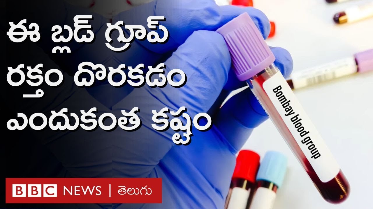 World Blood Donor Day: అత్యంత అరుదైన ఈ బ్లడ్ గ్రూప్ రక్తం కావాలంటే ఏం చేయాలో తెలుసా? | BBC Telugu
