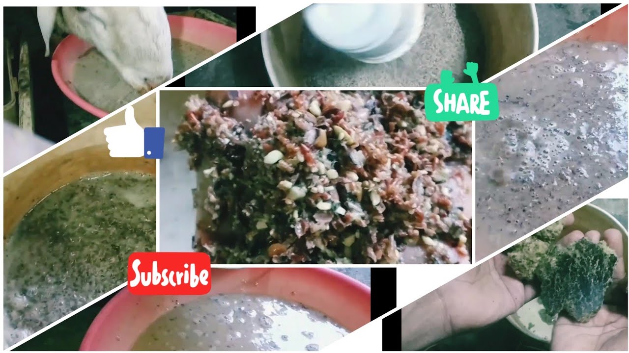 goat and sheep feed | best weight gain result | mixing preparing feeding