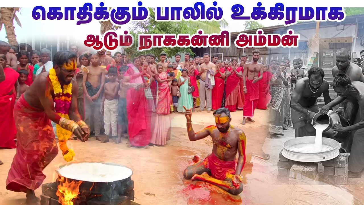 கொதிக்கும் பாலில் உக்கிரமாக  ஆடும் நாகக்கன்னி அம்மன் ! #sooranikarai #new #trandingshorts #movie