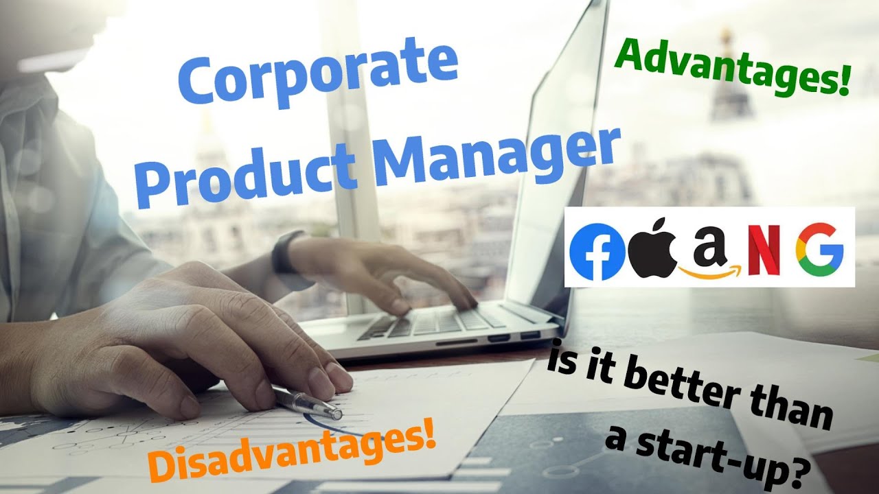 Working as a Product Manager in a corporate (FAANG) company? Is it better than a start-up?