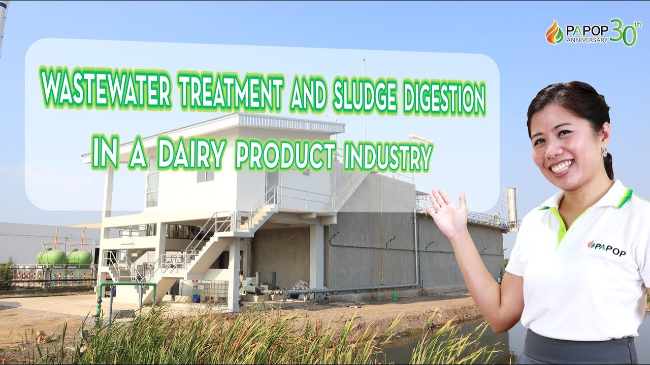 UASB, SBR, Digester system for wastewater treatment for dairy products factories by Papop