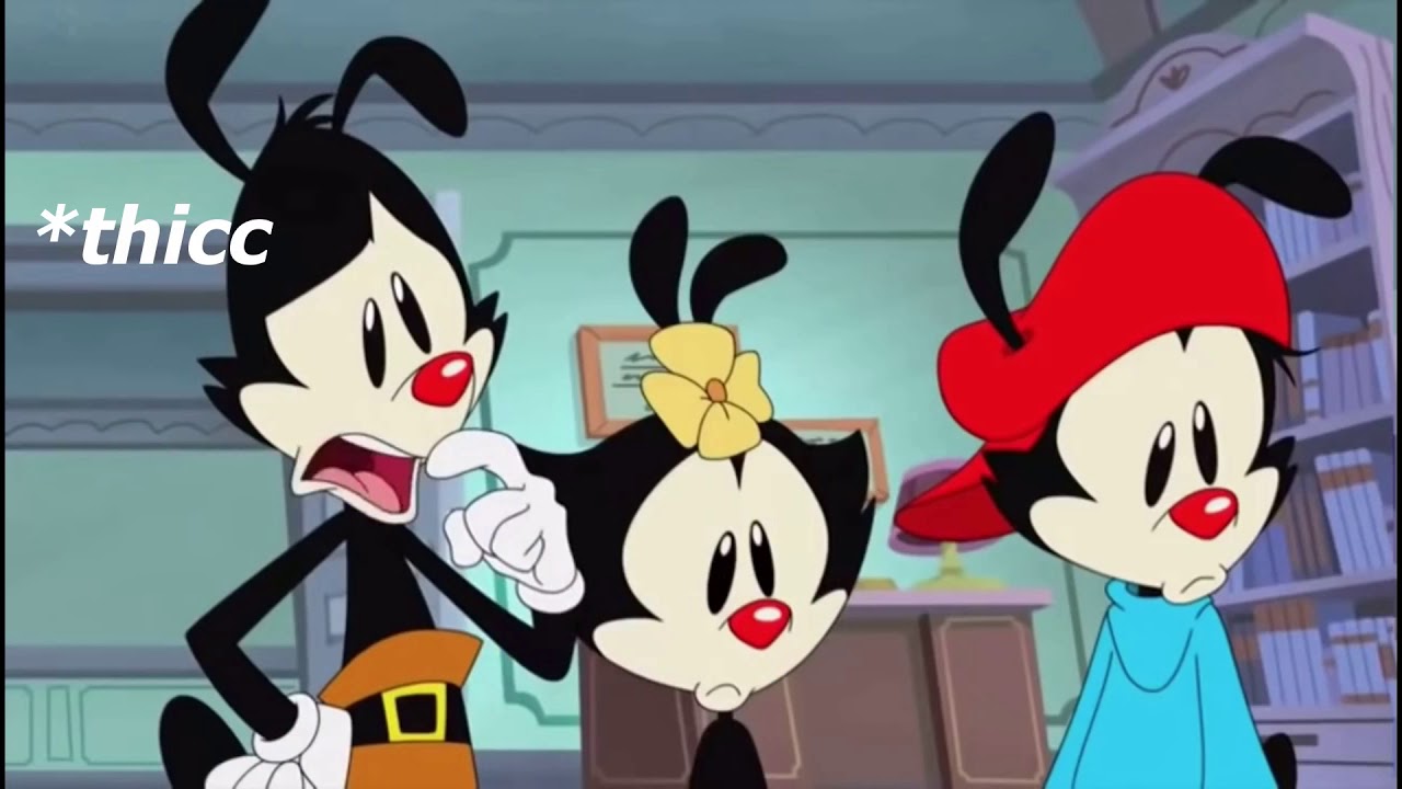 The part two of the Animaniacs edit no one asked for...